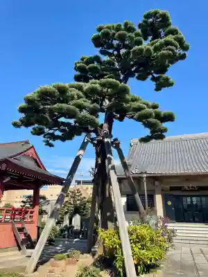 西方寺(埼玉県)