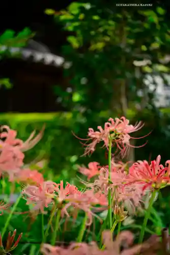 横浜　西方寺(神奈川県)