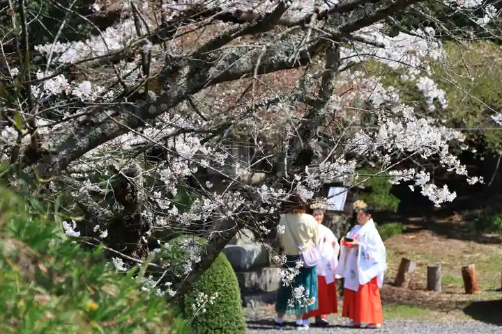 鹿島大神宮のお祭り