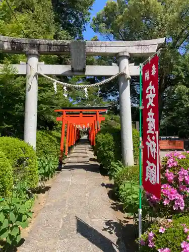 尾曳稲荷神社の鳥居