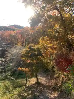 成身院　百体観音堂（さざえ堂）(埼玉県)