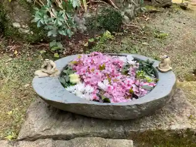 かっぱの寺 栖足寺の手水舎
