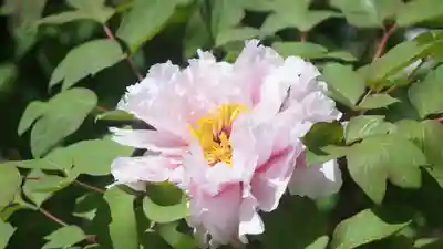 建仁寺（建仁禅寺）(京都府)