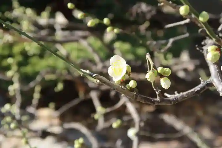 太融寺(大阪府)