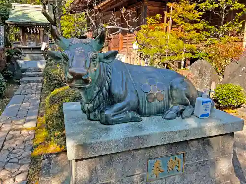 大井神社の狛犬