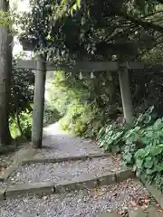 粟嶋神社の鳥居