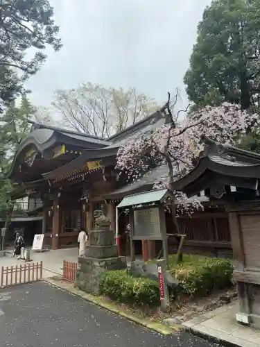 大國魂神社の{uncategorized: "未分類", other: "その他", undefined: "問題あり", building: "その他建物", grave: "お墓", sacred_gate: "鳥居", guardian: "狛犬", statue: "像", buddha: "仏像", history: "歴史", nature: "自然", garden: "庭園", animal: "動物", pagoda: "塔", temizu: "手水舎", mountain_gate: "山門・神門", sanctuary: "本殿・本堂", subordinate: "末社・摂社", art: "芸術", scenery: "景色", jizo: "地蔵", ema: "絵馬", goshuin: "御朱印", omikuji: "おみくじ", items: "授与品その他", amulet: "お守り", goshuincho: "御朱印帳", eats: "食事", festival: "お祭り", votive_dance: "神楽", shichigosan: "七五三参", wedding: "結婚式", experience: "体験その他", initially: "初詣", around: "周辺", anti_infection: "感染症対策"}
