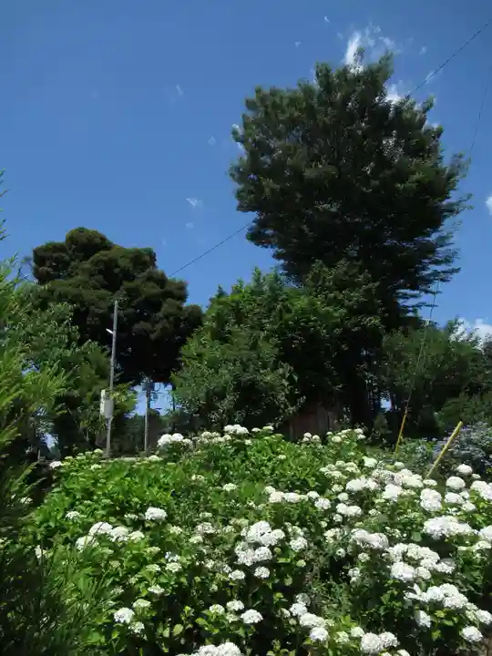菅原神社(千葉県)