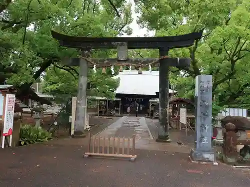 諫早神社（九州総守護  四面宮）の鳥居