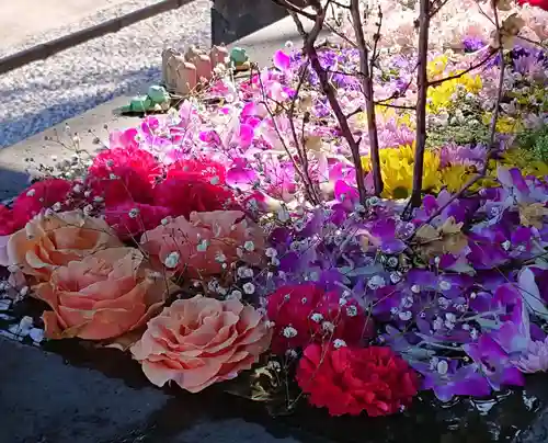 前玉神社(埼玉県)