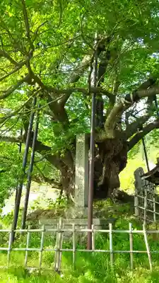 素桜神社のその他建物