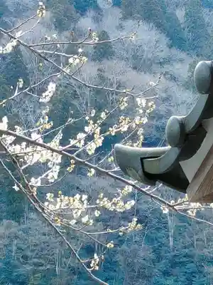 普光寺(愛知県)