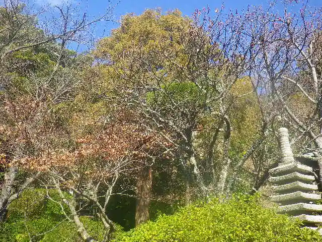 浄光明寺の自然