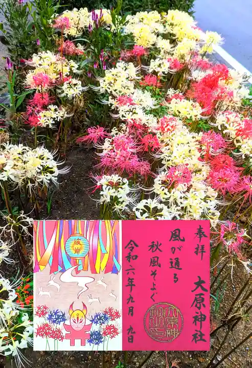 大宮・大原神社の御朱印