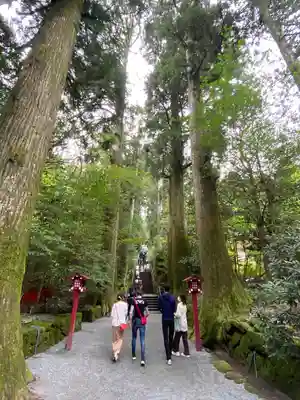 箱根神社のその他建物