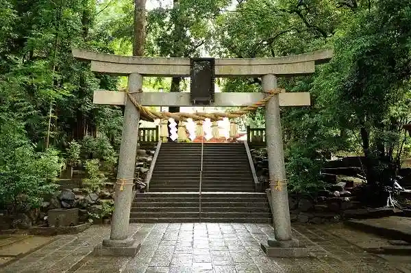 世田谷八幡宮の鳥居