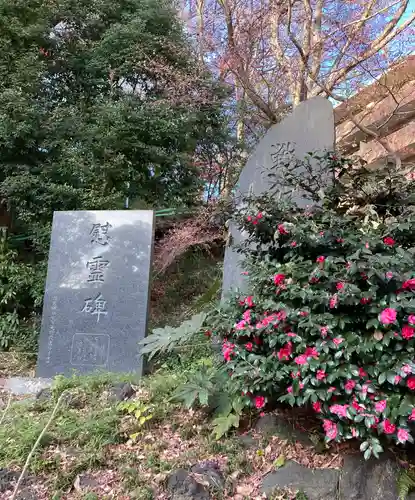 武州白子熊野神社(埼玉県)