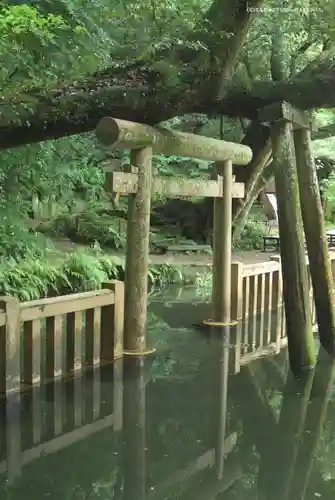 奥宮(鹿島神宮摂社)(茨城県)