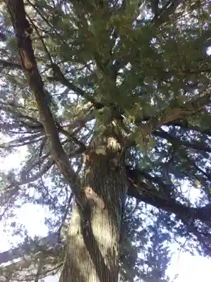 無量寺(和歌山県)