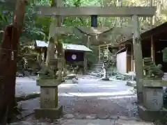 天の岩戸神社の鳥居