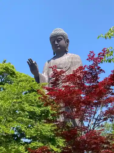東本願寺本廟 牛久浄苑（牛久大仏）(茨城県)