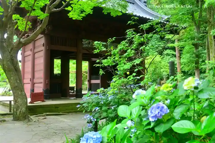 妙本寺(神奈川県)