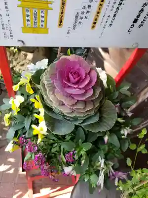 高円寺天祖神社(東京都)