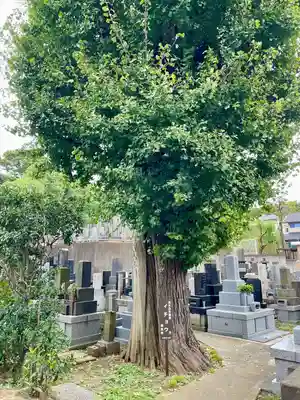 甚行寺(神奈川県)