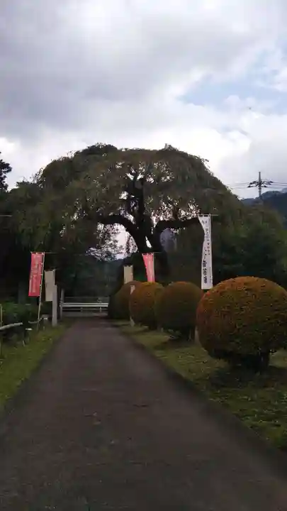 長泉院のその他建物