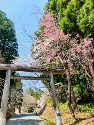 土津神社|こどもと出世の神さまの鳥居