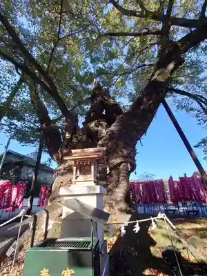 秩父今宮神社(埼玉県)