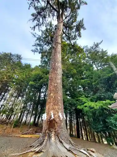 滑川神社 - 仕事と子どもの守り神(福島県)