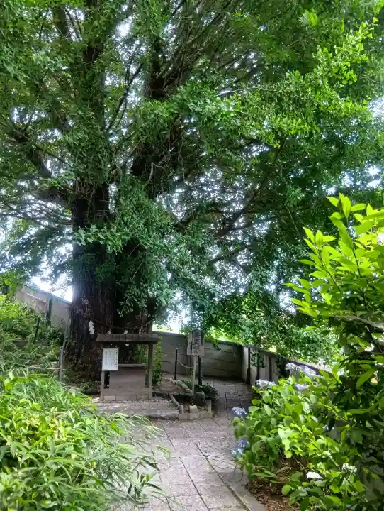 堤治神社(愛知県)