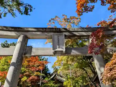 彌彦神社　(伊夜日子神社)の鳥居