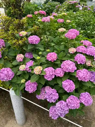 能護寺(埼玉県)