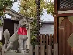 飛木稲荷神社の狛犬