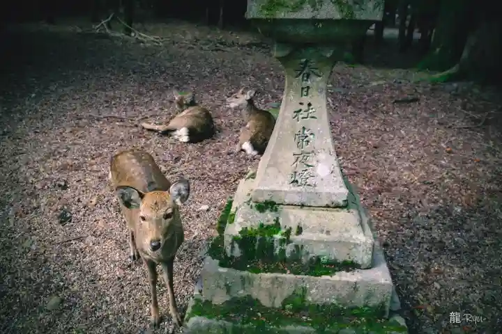 春日大社(奈良県)