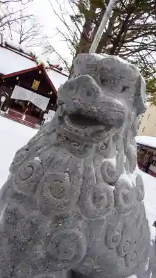 北海道神宮頓宮の狛犬
