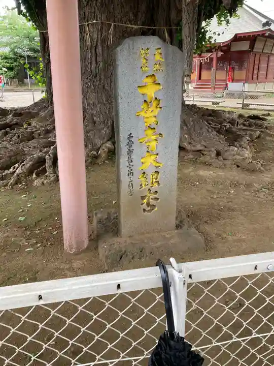 千葉寺(千葉県)