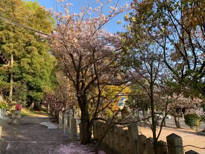 金ケ崎神社の自然
