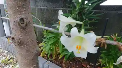 明徳稲荷神社の自然