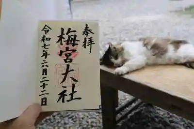 梅宮大社の御朱印