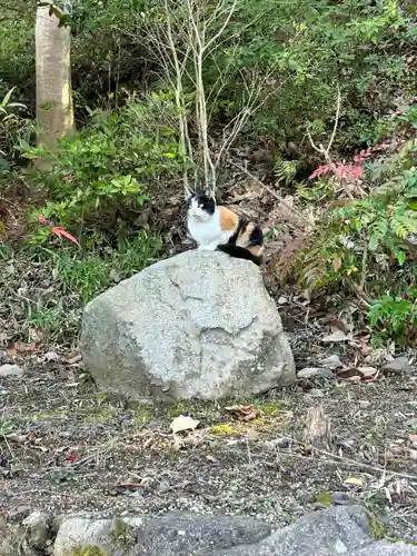 石清尾八幡宮(香川県)