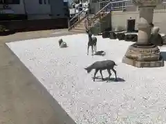 海運山 満福寺の庭園