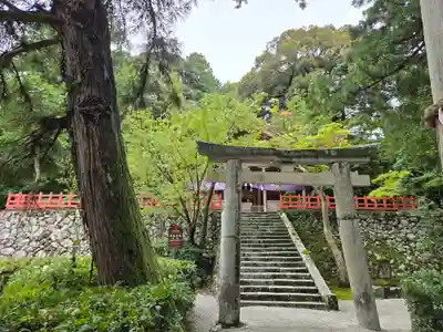 高鴨神社(奈良県)