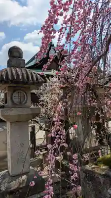 北野天満宮(京都府)