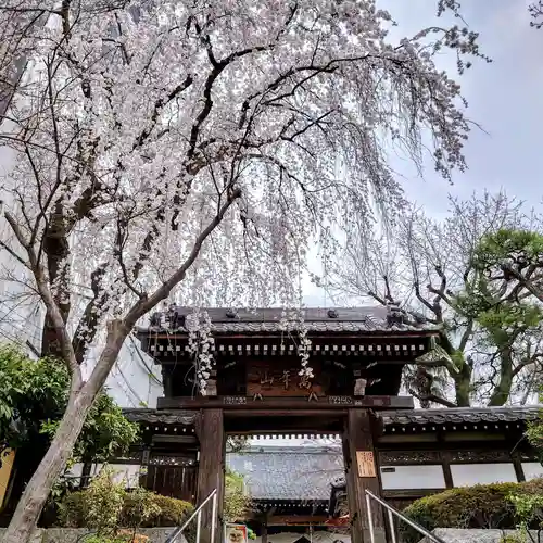 法輪寺の山門