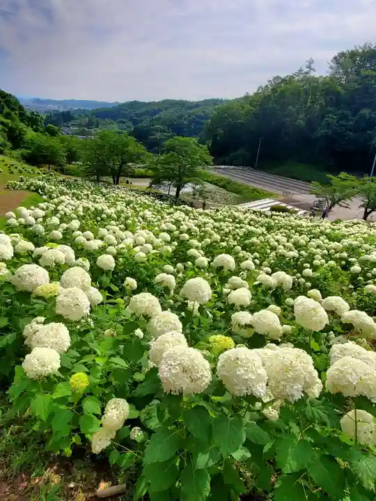 陽林寺(福島県)