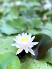 倶梨迦羅神社(長野県)