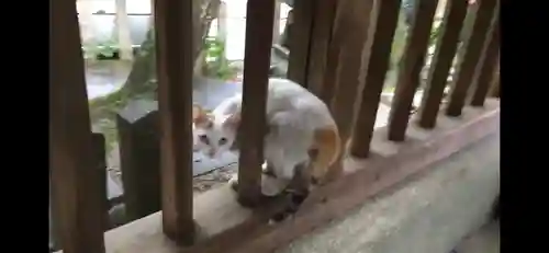 長等神社の動物